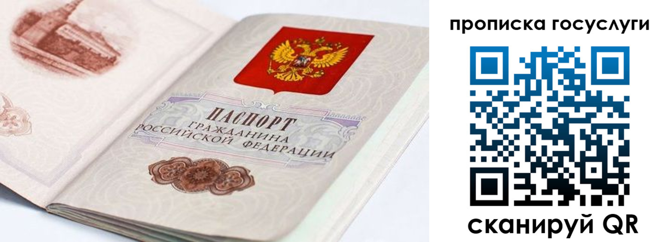 прописка гарантия в Козельске